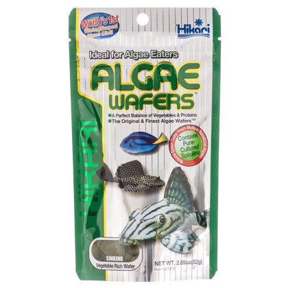 Hikari Algae Wafers