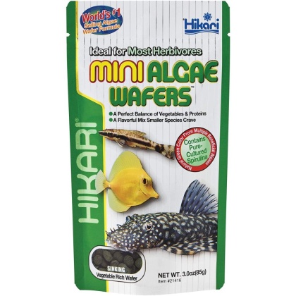 Hikari Mini Algae Wafers