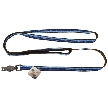 K9 Explorer Sapphire Reflective Leash with Scissor Snap