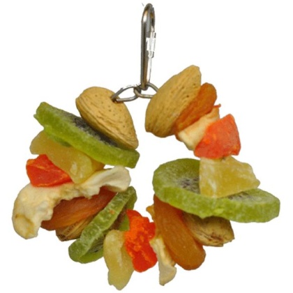 AE Cage Company Happy Beaks Deluxe Fruit and Nut Ring Jr Tropical Delight