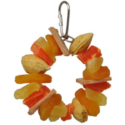 AE Cage Company Happy Beaks Fruit and Nut Ring Jr Tropical Delight