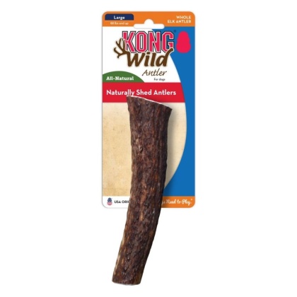 KONG Wild Whole Elk Antler Dog Chew