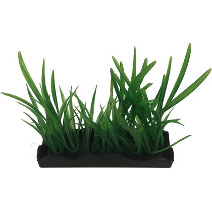 Penn Plax Harigrass Bunch Plant Medium