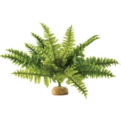 Exo Terra Boston Fern Terrarium Plant