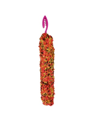 A and E Cages Smakers Snack Strawberry Treat Stick Display for Parakeets 12 Count