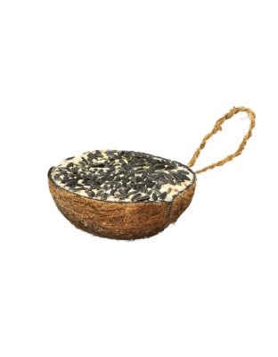 A & E Cages Garden & Fun Half Coconut w/Suet & Black Oil Sunflower Bird Treat 1ea/290 g