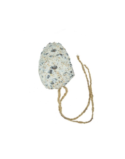 A & E Cages Garden & Fun Suet Pine Cone Bird Treat 1ea/330 g