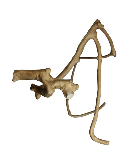 A and E Cages Java Wood Multi Branch Bird Perch LG