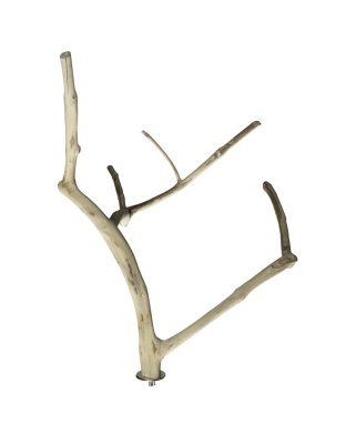A and E Cages Java Wood Multi Branch Bird Perch MD