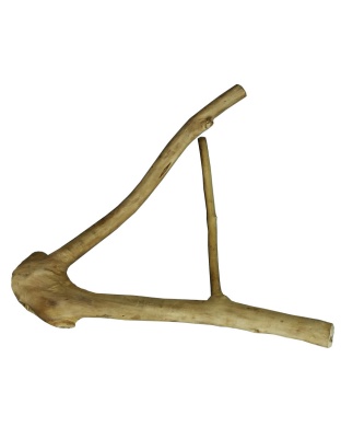 A and E Cages Java Wood Multi Branch Bird Perch SM