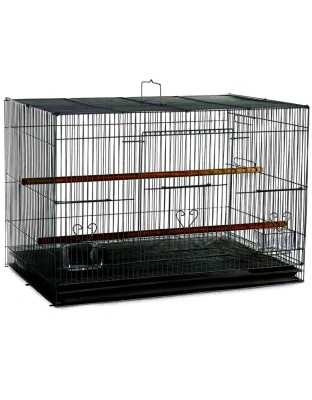 A & E Cages Flight Cage in Color Retail Box Black 24in X 16in