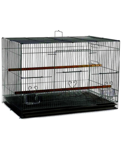 A & E Cages Flight Cage in Color Retail Box Black 24in X 16in