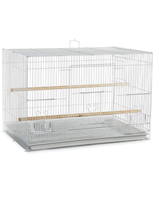 A & E Cages Flight Cage in Color Retail Box White 24in X 16in