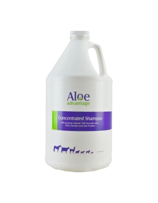 Aloe Advantage Concentrate Shampoo 10X 1gal.