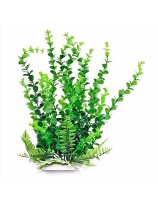 Aquatop Bacopa Aquarium Plant w/Weighted Base Green 1ea/6 in