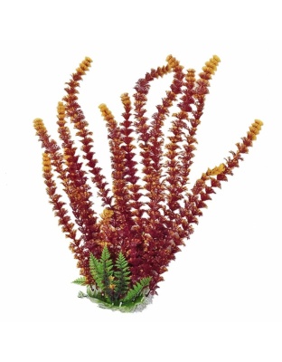 Aquatop Cabomba Aquarium Plant with Weighted Base Fire 1ea/20 in