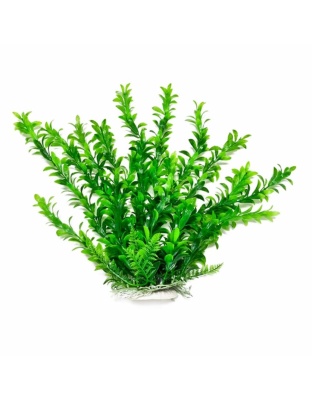Aquatop Anacharis Aquarium Plant with Weighted Base Green 1ea/6 in