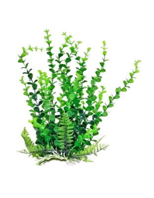 Aquatop Bacopa Aquarium Plant w/Weighted Base Green 1ea/9 in