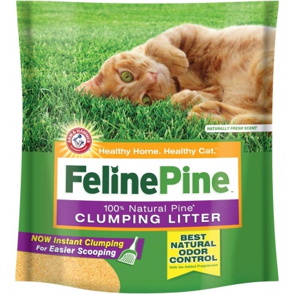 Arm & Hammer Clumping Cat Litter 1ea/14 lb