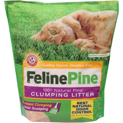 Arm & Hammer Clumping Cat Litter 1ea/8 lb