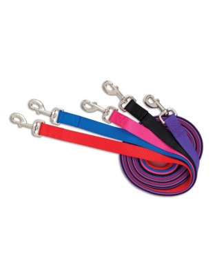 Aspen Core Nylon Dog Leash Black 1ea/5/8In X 5 ft, MD