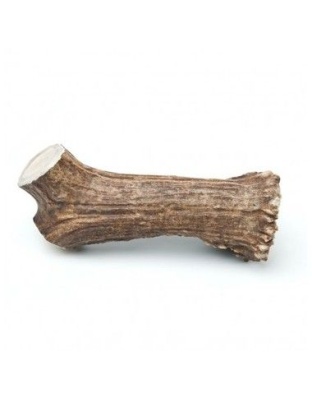 Barkworthies Elk Antler Jumbo