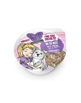 Bff Dog Oh So Nice Beef & Rice Cup 2.7oz. (Case of 12)