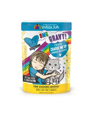 BFF Cat Omg Charge Me Chicken Dinner in Gravy 3oz. Pouch (Case of 12)