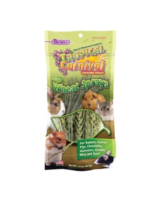 Tropical Carnival Sprays Foraging S.A. Treats 1.5oz.