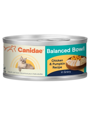 Canidae Balanced Bowl Cat Wet Food Chicken/Pumpkin 3oz. (Case of 24)