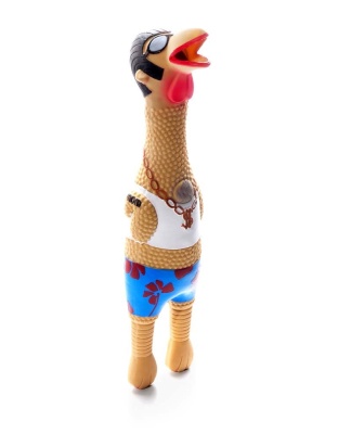 Charming Pet Products Squawkers Earl Dog Toy Multi-Color 1ea/LG