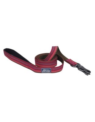 Coastal Products K9 Explorer Reflective Dog Leash With Scissor Snap Berry