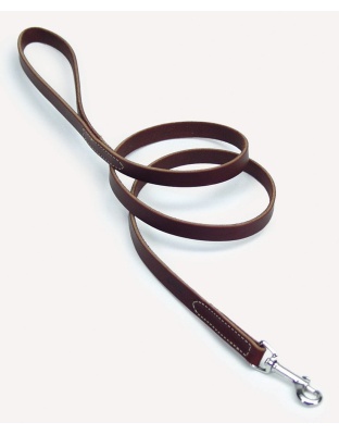 Circle T Latigo Leather Dog Leash Brown 1ea/1 In X 6 ft