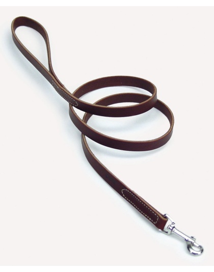 Circle T Latigo Leather Dog Leash Brown 1ea/3/4 In X 6 ft
