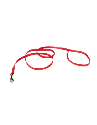 Coastal Single-Ply Nylon Dog Leash Red 1ea/3/8 In X 4 ft