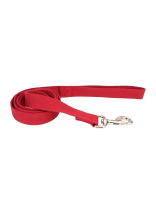 Earth Soy Dog Leash Cranberry 1ea/5/8 In X 6 ft