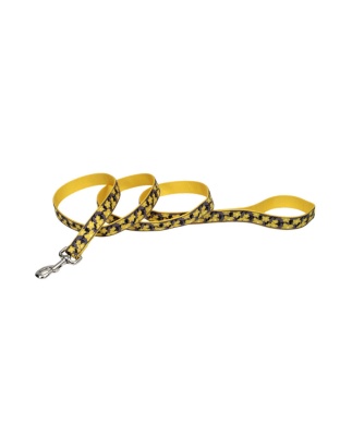 Ribbon Nylon Dog Leash Yellow 1ea/1 In X 6 ft