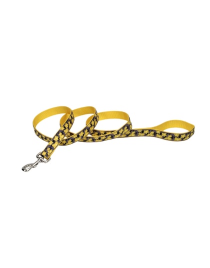 Ribbon Nylon Dog Leash Yellow 1ea/1 In X 6 ft