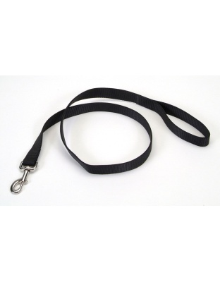 Coastal Single-Ply Nylon Dog Leash Black 1ea/1 In X 4 ft