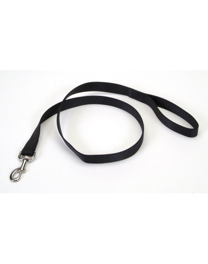 Coastal Single-Ply Nylon Dog Leash Black 1ea/1 In X 4 ft
