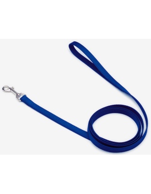 Coastal Single-Ply Nylon Dog Leash Blue 1ea/3/4 In X 6 ft
