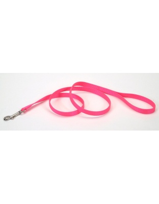 Coastal Single-Ply Nylon Dog Leash Neon Pink 1ea/3/4 In X 4 ft