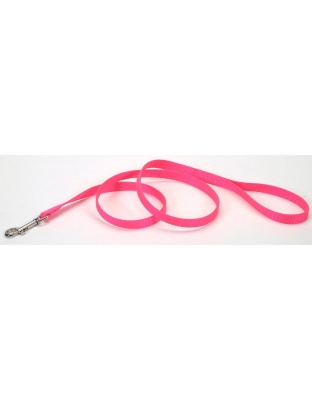 Coastal Single-Ply Nylon Dog Leash Neon Pink 1ea/3/4 In X 6 ft