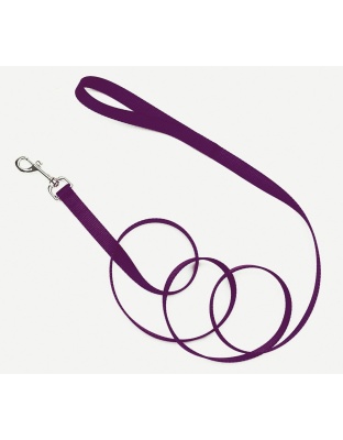 Coastal Single-Ply Nylon Dog Leash Purple 1ea/3/4 In X 4 ft
