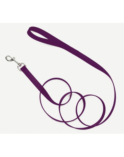 Coastal Single-Ply Nylon Dog Leash Purple 1ea/3/4 In X 4 ft