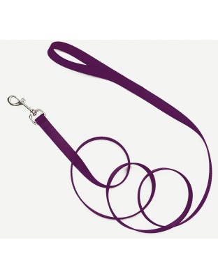 Coastal Single-Ply Nylon Dog Leash Purple 1ea/5/8 In X 6 ft