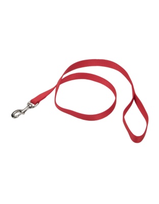 Coastal Single-Ply Nylon Dog Leash Red 1ea/3/4 In X 4 ft