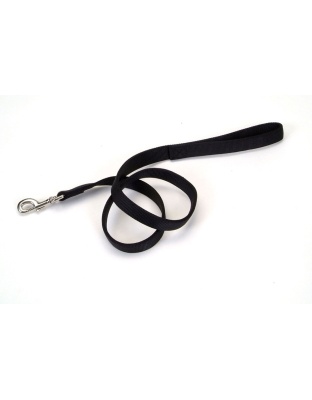 Coastal Double-Ply Nylon Dog Leash Black 1ea/1 In X 4 ft