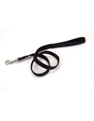 Coastal Double-Ply Nylon Dog Leash Black 1ea/1 In X 6 ft