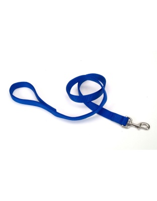 Coastal Double-Ply Nylon Dog Leash Blue 1ea/1 In X 4 ft